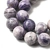 Natural Purple Stripe Jasper Beads Strands G-K350-C03-10mm-4