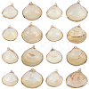 30Pcs Electroplated Natural Shell Pendants SSHEL-SC0001-58-1