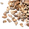 Natural Picture Jasper Chips G-G869-01-2