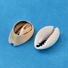 Natural Cowrie Shell Beads X-BSHE-S052-2