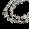 Natural Quartz Crystal Chip Beads Strands X-G-M205-01A-4