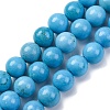 Dyed Natural Magnesite Beads Strands G-P558-A01-01A-1
