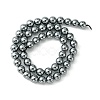 Terahertz Stone Beads Strands G-Z034-B13-04-3