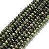 Natural Diopside Beads Strands G-R006-A01-03-1