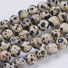 Natural Dalmation Jasper Beads Strands G-G515-6mm-06-1