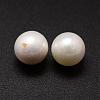 Shell Pearl Beads BSHE-L031-01-12mm-2
