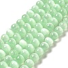 Natural Selenite Beads Strands G-P493-01H-1