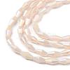 Opaque Glass Beads Strands GLAA-P001-04A-04-2