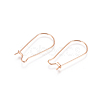 304 Stainless Steel Hoop Earring Findings STAS-E484-66B-RG-1