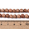 Natural Wood Lace Stone Wooden Jasper Beads Strands G-T143-30A-02-4