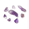Natural Amethyst Chip Beads G-Q193-02A-2