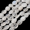 Grade A Natural Rainbow Moonstone Beads Strands GG-CBADF20-B12-B-2