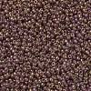 MIYUKI Round Rocailles Beads SEED-G007-RR0301-4
