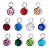 10Pcs Glass Rhinestone Charms STAS-TA0003-26I-2
