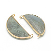 Natural Labradorite Pendants X-G-Q971-10-2