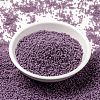 MIYUKI Round Rocailles Beads SEED-X0056-RR4489-2