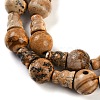 Natural Picture Jasper 3-Hole Guru Beads Strands G-H064-E06-01-4