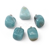 Natural Amazonite Pendants G-K302-B09-1