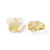 Transparent Glass Beads GLAA-P037-02A-30-2