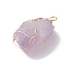 Raw Rough Natural Amethyst Copper Wire Wrapped Pendants PALLOY-JF02787-01-4