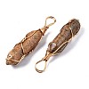 Natural Picture Jasper Big Pendants G-T122-70D-3
