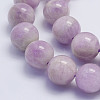 Natural Kunzite Beads Strands G-L478-13-12mm-2