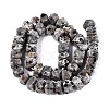 Natural Syenite Beads Strands G-D091-A32-2