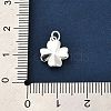 925 Sterling Silver Charms LS-FIND-Z069-04S-C-4