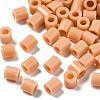 PE Fuse Beads DIY-R013-18-1