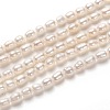 Natural Cultured Freshwater Pearl Beads Strands PEAR-J005-58-1