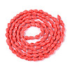 Spray Painted Natural Spiral Shell Beads Strands X1-BSHE-G039-08F-2
