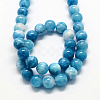 Natural Dyed Persian Jade Gemstone Bead Strands G-R271-6mm-XP15-1
