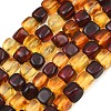 Two Tone Natural Amber Beads Strands G-K426-A03-04-2