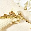 Metallic Lace Trim OCOR-WH0058-01G-8