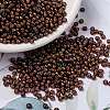 MIYUKI Round Rocailles Beads X-SEED-G008-RR3761-1