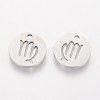 Non-Tarnish 304 Stainless Steel Charms STAS-Q201-T095-6-2
