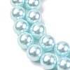 Electroplated Shell Pearl Beads Strands BSHE-G041-8mm-03-3