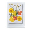 Pressed Dried Flowers DIY-F076-01B-1