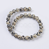 Natural Dalmation Jasper Beads Strands G-G515-6mm-06-2