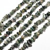 Natural Moss Agate Chip Bead Strands G-M205-45-1