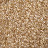 12/0 FGB Grade A Round Glass Seed Beads X-SEED-Q011-F504-2