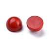 Synthetic Coral Cabochons G-P393-R65-4MM-2