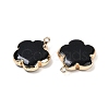 Natural Black Stone Pendants G-P566-01G-11-2