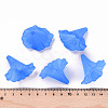 Transparent Acrylic Beads BSF796-C05-6