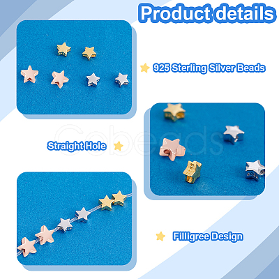 12Pcs 3 Colors 925 Sterling Silver Beads STER-PH0002-09-1