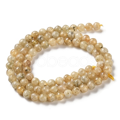Natural Yellow Garnet Beads Strands G-Z129-C01-5mm-01-1
