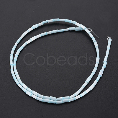 Glass Silk Stain Style Beads Strands GLAA-N047-001B-01-1