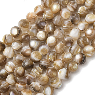 Natural Freshwater Shell Beads Strands SHEL-K006-71A-1