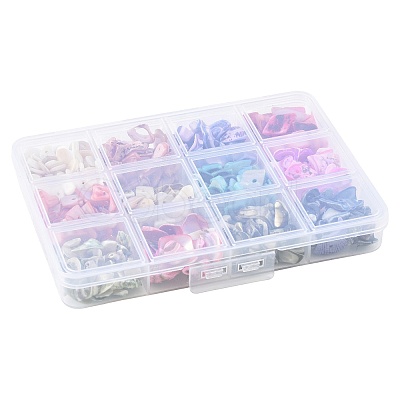 165G 12 Styles Dyed Natural Freshwater Shell Chips Beads SHEL-FS0001-20-1