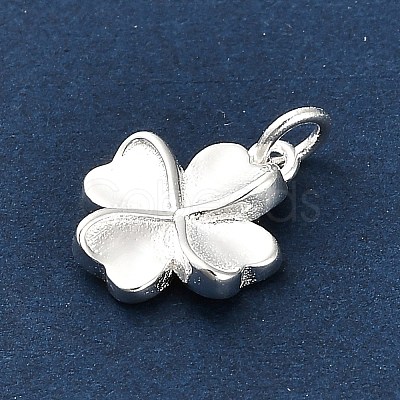 925 Sterling Silver Charms LS-FIND-Z069-04S-C-1
